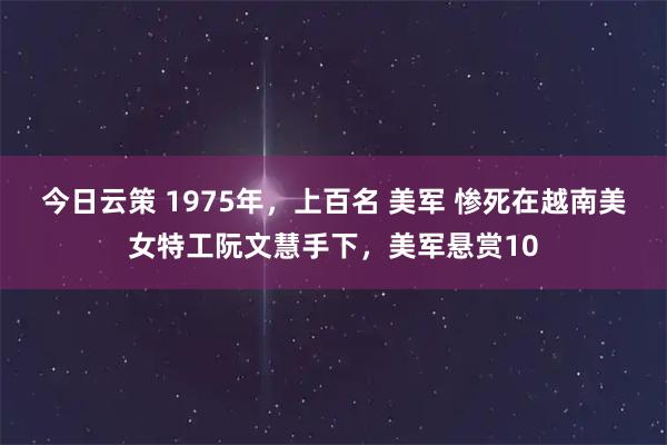 今日云策 1975年,上百名 美军 惨死在越南美女特工阮文慧手下,美军悬赏10