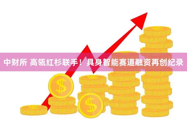 中财所 高瓴红杉联手!具身智能赛道融资再创纪录
