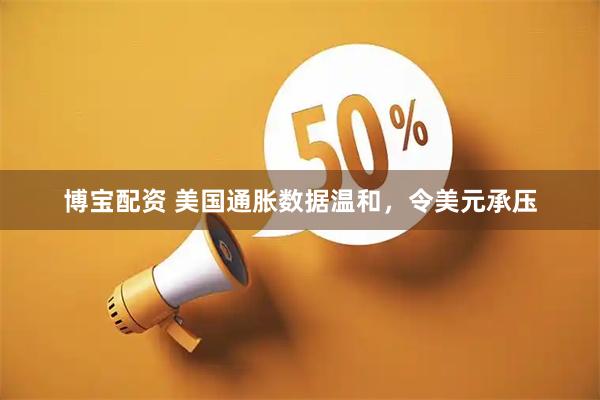 博宝配资 美国通胀数据温和，令美元承压