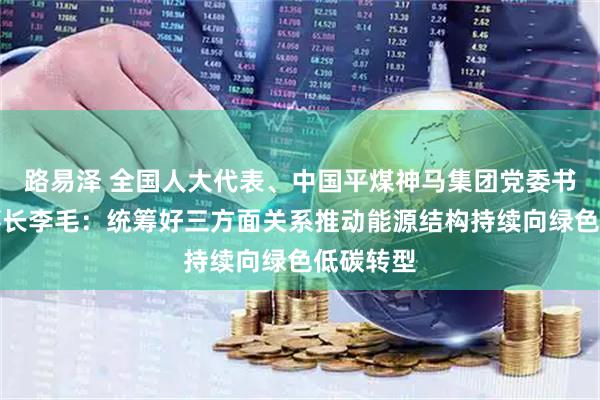 路易泽 全国人大代表、中国平煤神马集团党委书记、董事长李毛：统筹好三方面关系推动能源结构持续向绿色低碳转型