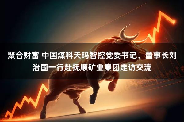 聚合财富 中国煤科天玛智控党委书记、董事长刘治国一行赴抚顺矿业集团走访交流