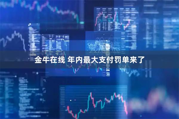 金牛在线 年内最大支付罚单来了