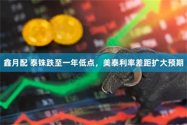 鑫月配 泰铢跌至一年低点，美泰利率差距扩大预期
